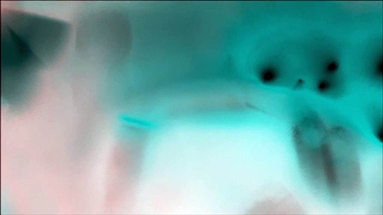 B6-25 Color Video cc0 license