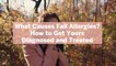 What Causes Fall Allergies? How to Get Yours Diagnosed and Treated