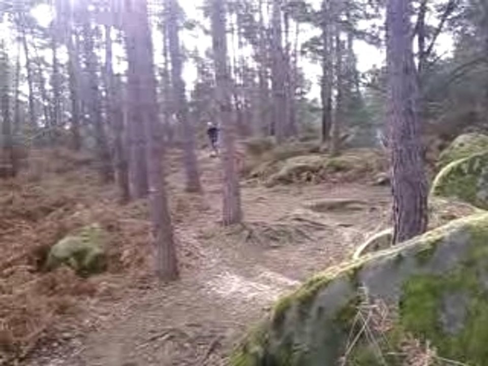 V01-03-08_10.36
