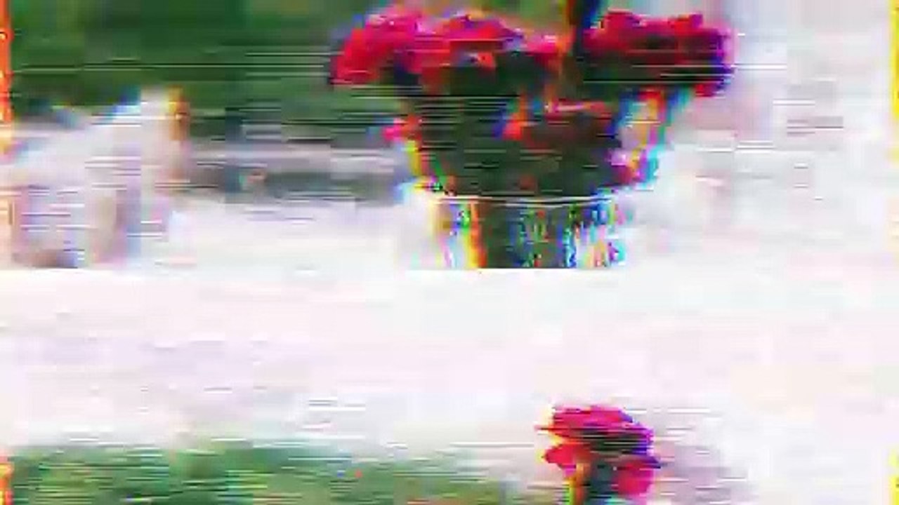 Funny meme relaxing video enjoying