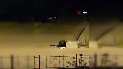 Aç kalan ayı, çöp konteynerinde böyle yiyecek aradı