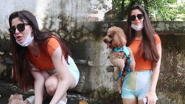 Arbaaz Khan की GF Giorgia Andriani का Sexy Look हुआ Viral, Check Out Video | FilmiBeat