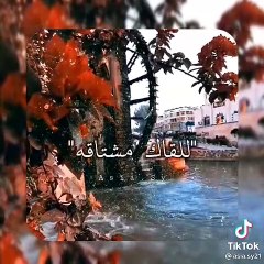 حالات واتساب whatsapp story15