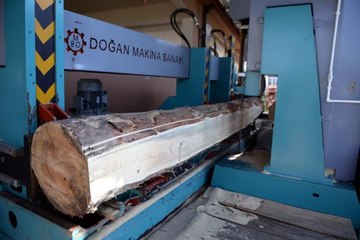 İşlenmeye hazır tomruklar Ardahan'daki arıcılık merkezinde kovana dönüşüyor