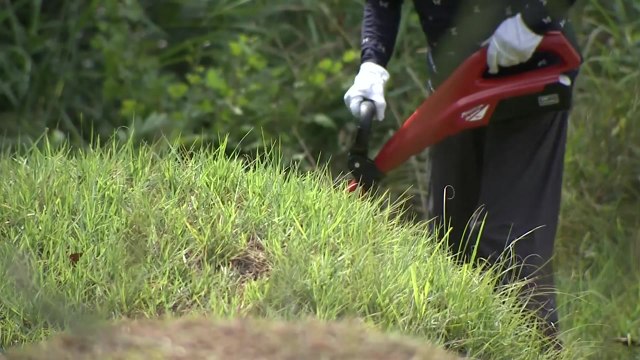 추석 앞두고 이른 성묘 발길‥농촌 마을도 분주 / YTN
