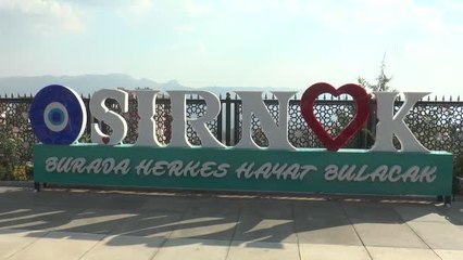 Kovid-19 aşılamasında mavi kategoriye geçen Şırnak'ta "Rehavete kapılmayın" uyarısı