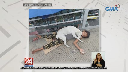 Kwento ng asong nakayakap sa kanyang amo na natutulog sa footbridge, nakaantig sa puso ng netizens | 24 Oras Weekend