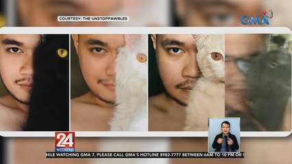 Mga alagang pusa ng isang fur dad, good vibes ang hatid sa netizens | 24 Oras Weekend