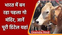 Rajasthan में देश का पहला Cow Temple, 20 बछड़ों को दिया जीवनदान, गाय की याद में बना | वनइंडिया हिंदी