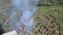 Son dakika gündem: BALIKESİR - Orman yangını kontrol altına alındı