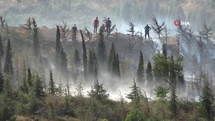 Polis ekipleri ellerinde küreklerle yangı söndürdü
