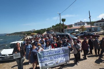 Çevrecilerin karides isyanı