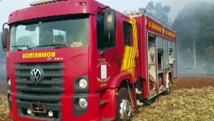 Incêndio consome parte de lavoura de milho nas proximidades do Show Rural