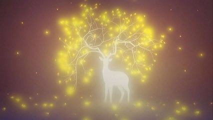 수행하듯 밤의 빛을 담는 '라이트 페인팅' / YTN