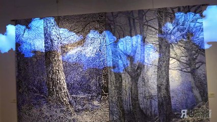 ANIMA VERDE 4 al 10 Settembre 2021 –