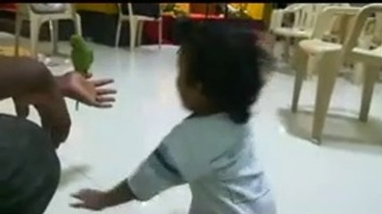 The boy is seeing the parrot for the first time