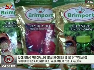 Télécharger la video: Entérate l Expo Feria Agrícola beneficia a productores de Valle de Quíbor en Lara