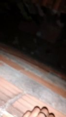 Cachorro vítima de maus-tratos é resgatado