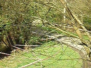 Senecal rallye de la cote fleurie 2008