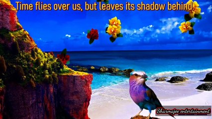 Good Morning Video - Picture in picture Effects