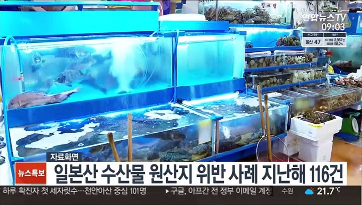 일본산 수산물 원산지 위반 사례 지난해 116건