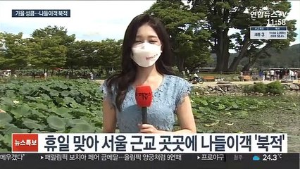 성큼 다가온 가을…휴일 교외 나들이객 '북적'