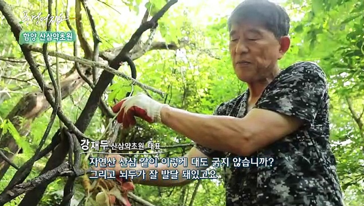 [풍경여지도] 청정 자연을 품은 산삼의 고장 - 경남 함양 1부