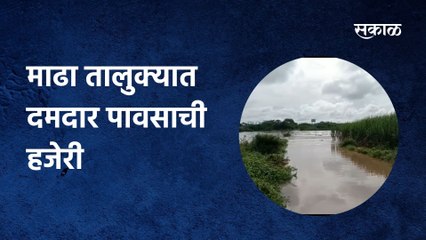 Solapur: माढा तालुक्यात दमदार पावसाची हजेरी; अनेकांच्या पिकांचे नुकसान
