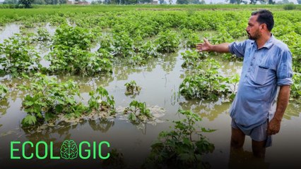 Will climate change worsen India’s farming crisis?