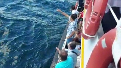 Kadıköy’de vapurdan düşerek hayatını kaybetti