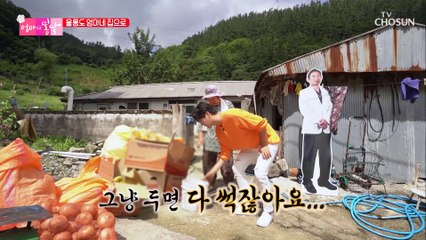 엄마를 도와주러 차를 타고 신성 오빠가 왔다! TV CHOSUN 20210905 방송