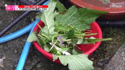 16가지 약초 넣고 끓인 특별한 된장찌개 TV CHOSUN 20210905 방송