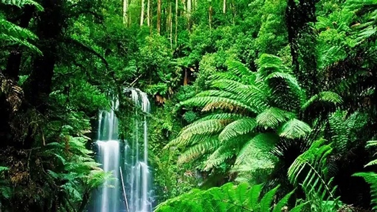 10_minute_meditation_music_-_10_minute_relaxing_meditation_music