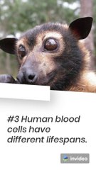 10 Fun Facts You Will Love To Know