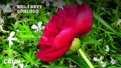 Ehlibeyt Günlüğü_ Kul, hiçbir farzı terk edemez!