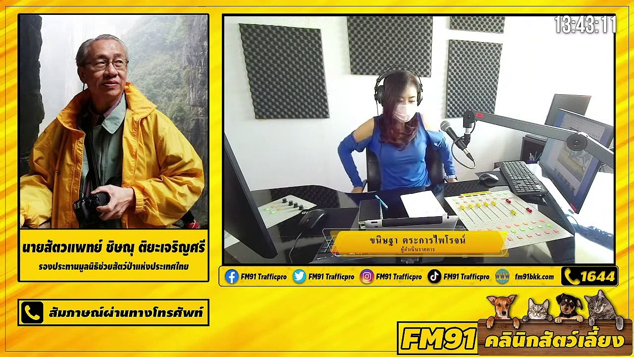 ทำความรู้จักกับโรคผิวหนังในสุนัขและแมว EP.2 : FM91 คลินิกสัตว์เลี้ยง : 23 พฤษภาคม 2564