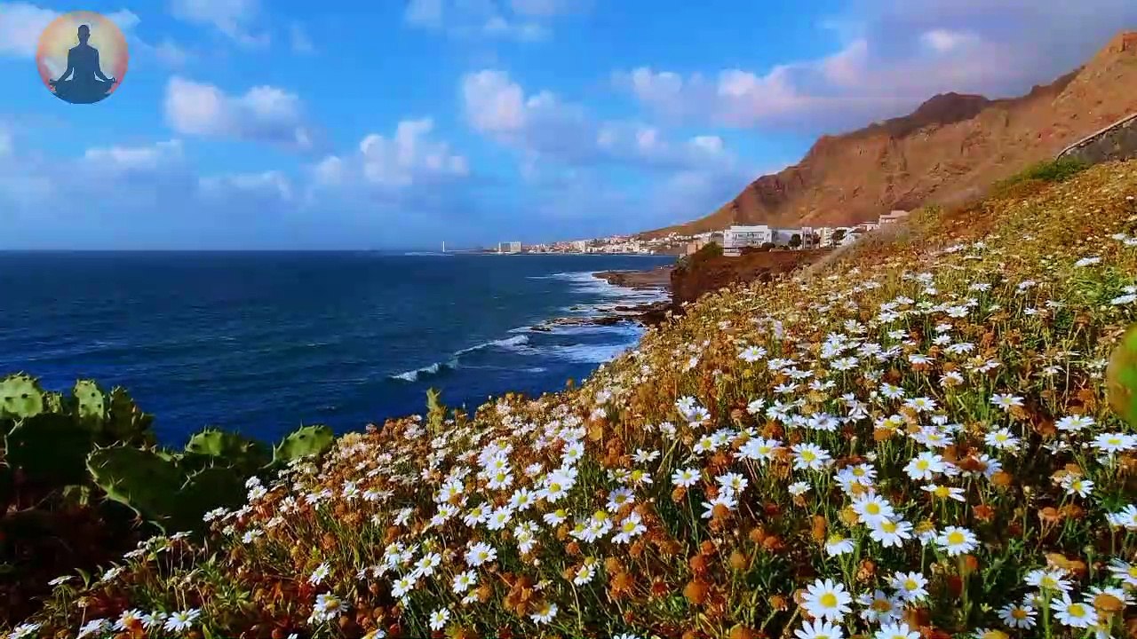 nature meditation music,Sleep Music Delta Waves: Relaxing Music to Help you Sleep, Deep Sleep, Inner Peace