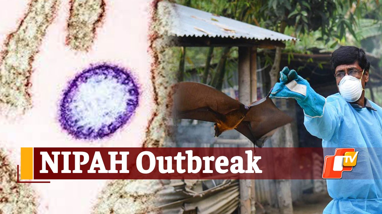 Kerala Boy’s Death Due To NIPAH Triggers Concerns Of Another Deadly Virus Outbreak