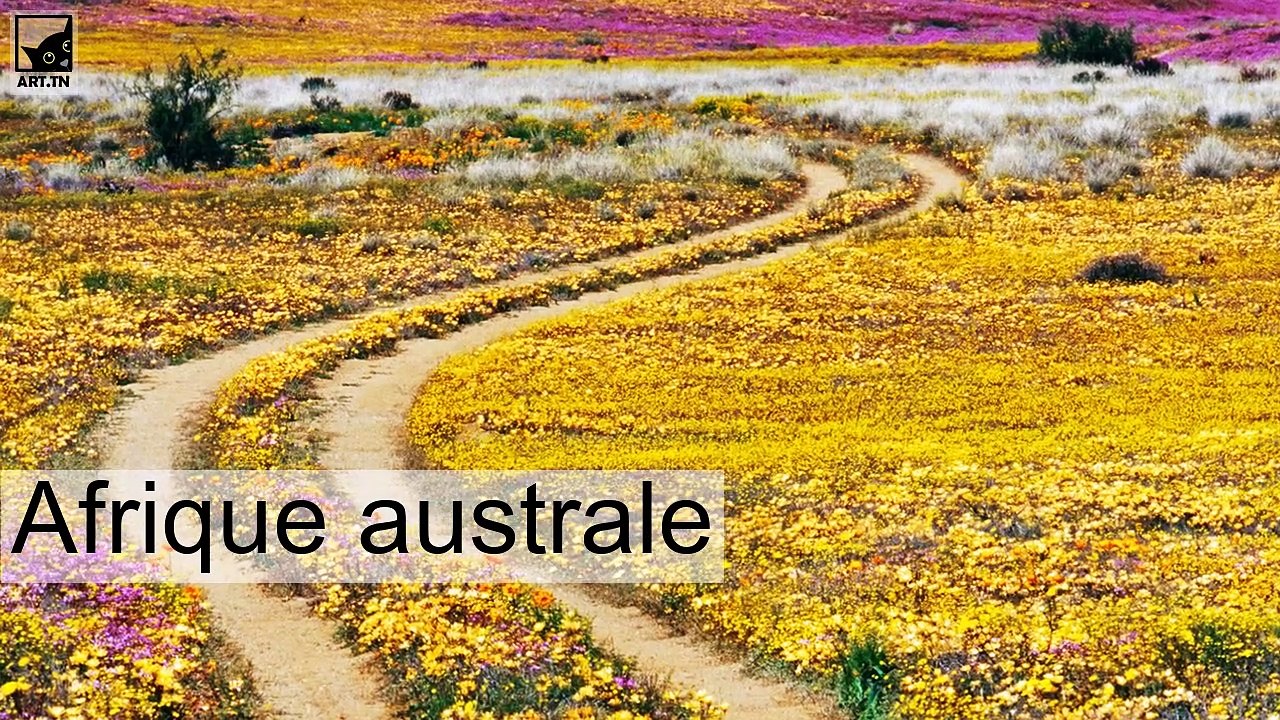 Top 10 des meilleurs endroits à visiter dans le monde en 2021
