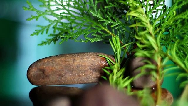 Happy Background Music - Relaxing Instrumental Background Music Meditation Relaxation Romantic Music