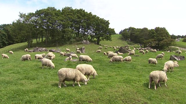 성큼 다가온 가을 만끽...코로나19에 '조심조심' / YTN