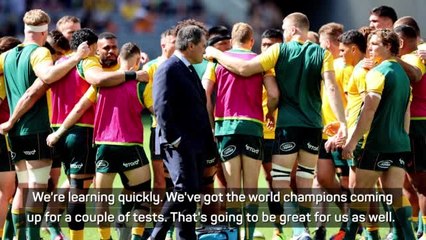 Скачать видео: Bledisloe pain will pay off - Rennie takes the positives from Wallabies defeat