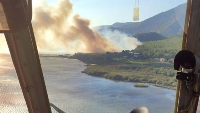 Aydın'da ormanlık alanda yangın çıktı! Alevlere karadan ve havadan müdahale başlatıldı