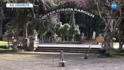 Maymunlar Aç Kalınca Evlere Girdi