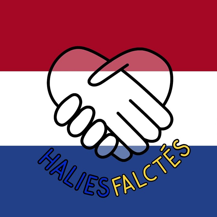 Logo du PAYS-BAS du réseaux