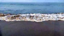 Andhrapradesh Beach travel and tourism 4K