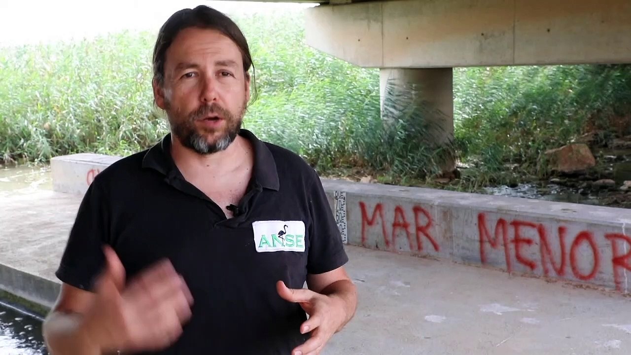 Was die toten Fische im Mar Menor mit Supermarktomaten zu tun haben (könnten)