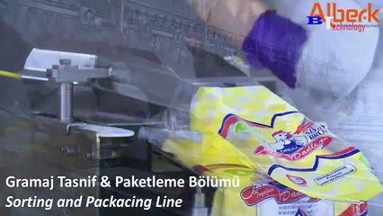 Amazing modern chicken catching machine, Breeding Process Chicken Highest Efficiency