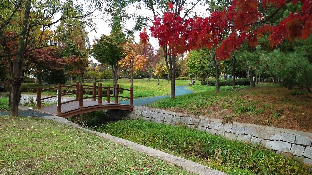 4K Stock Footage _ No Copyright Videos _ Drone Aerial View _ Royalty Free ( 1080 X 1920 )