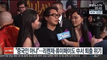 "중국인 아냐"…리롄제·류이페이도 中서 퇴출 위기